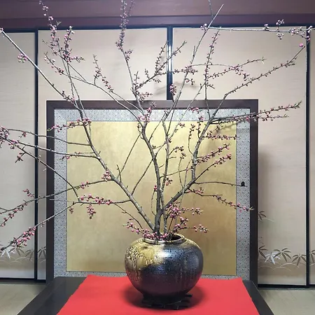 Farm Stay Inn Sanzaemon-Tei 別館 2023Open Shiga-Takasima Reserved For One Group Per Day Japanese Old Folk House 外观 照片