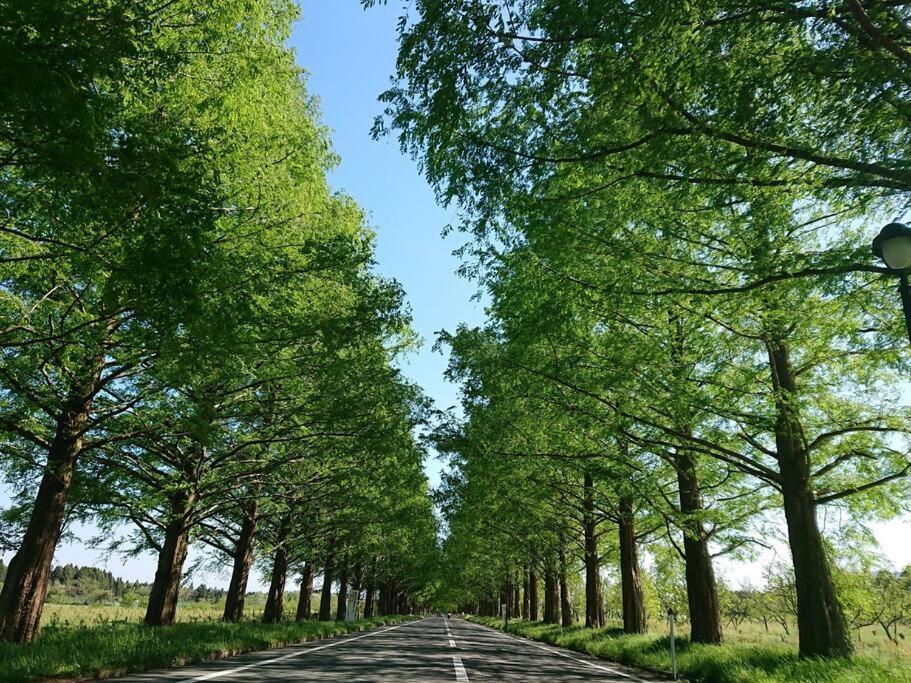 Farm Sanzaemon-tei 別館 2023open Shiga-takasima Reserved For One Group Per Day Japanese Old Folk House 高岛市