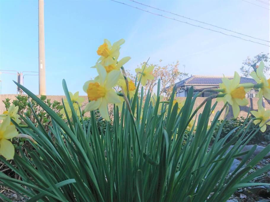 Farm Sanzaemon-tei: Traditional Japanese Folk House Retreat Holiday home *